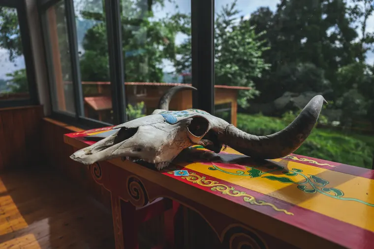 A decorative horned skull on a colourful painted chest in the bar