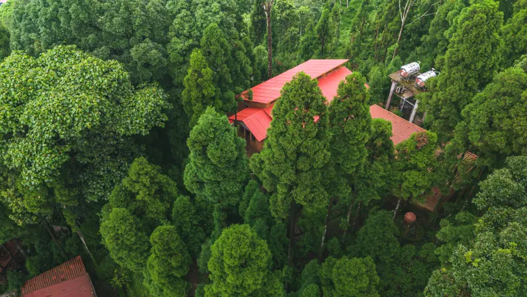 Red villa roofs nestled among a canopy of green trees