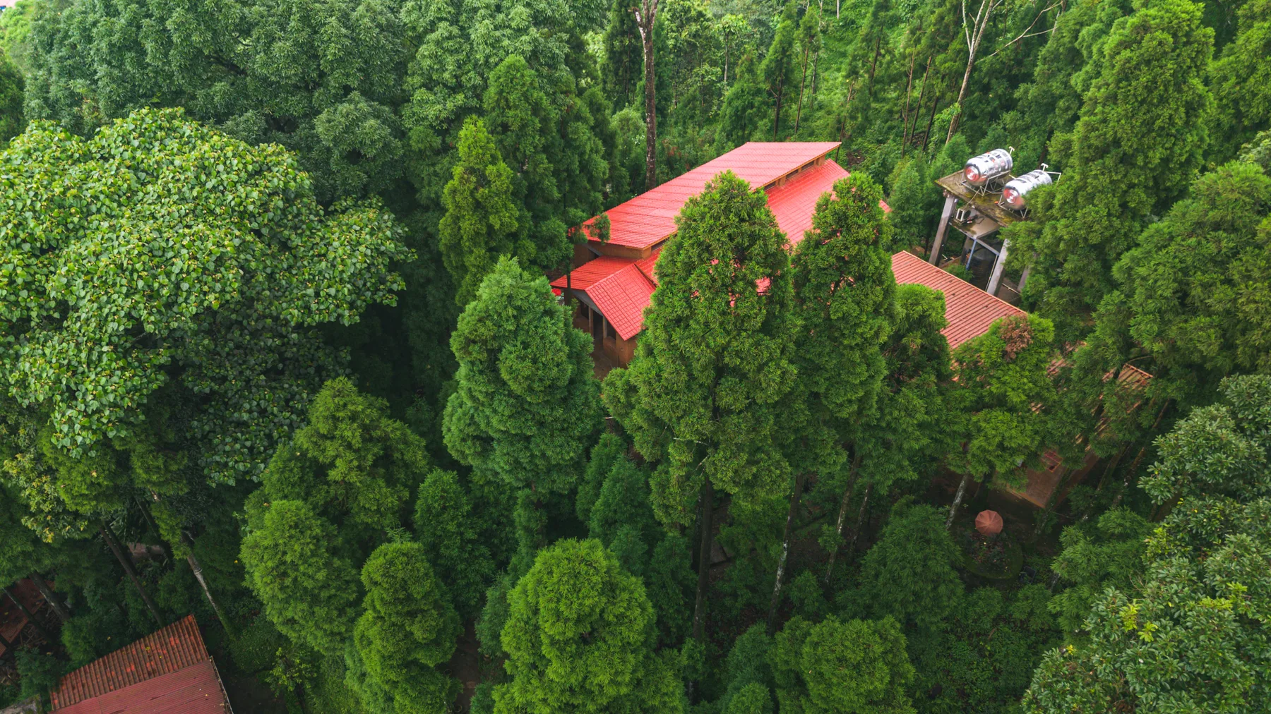 Red villa roofs nestled among a canopy of green trees