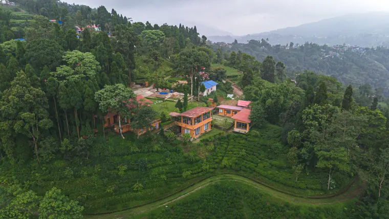Sunshine Villa surrounded by forest and tea-covered hills