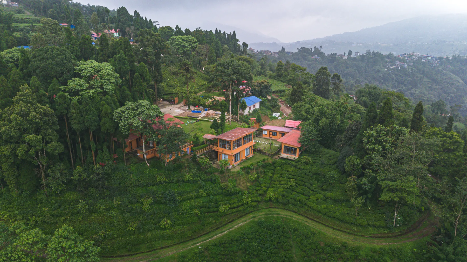 Sunshine Villa surrounded by forest and tea-covered hills