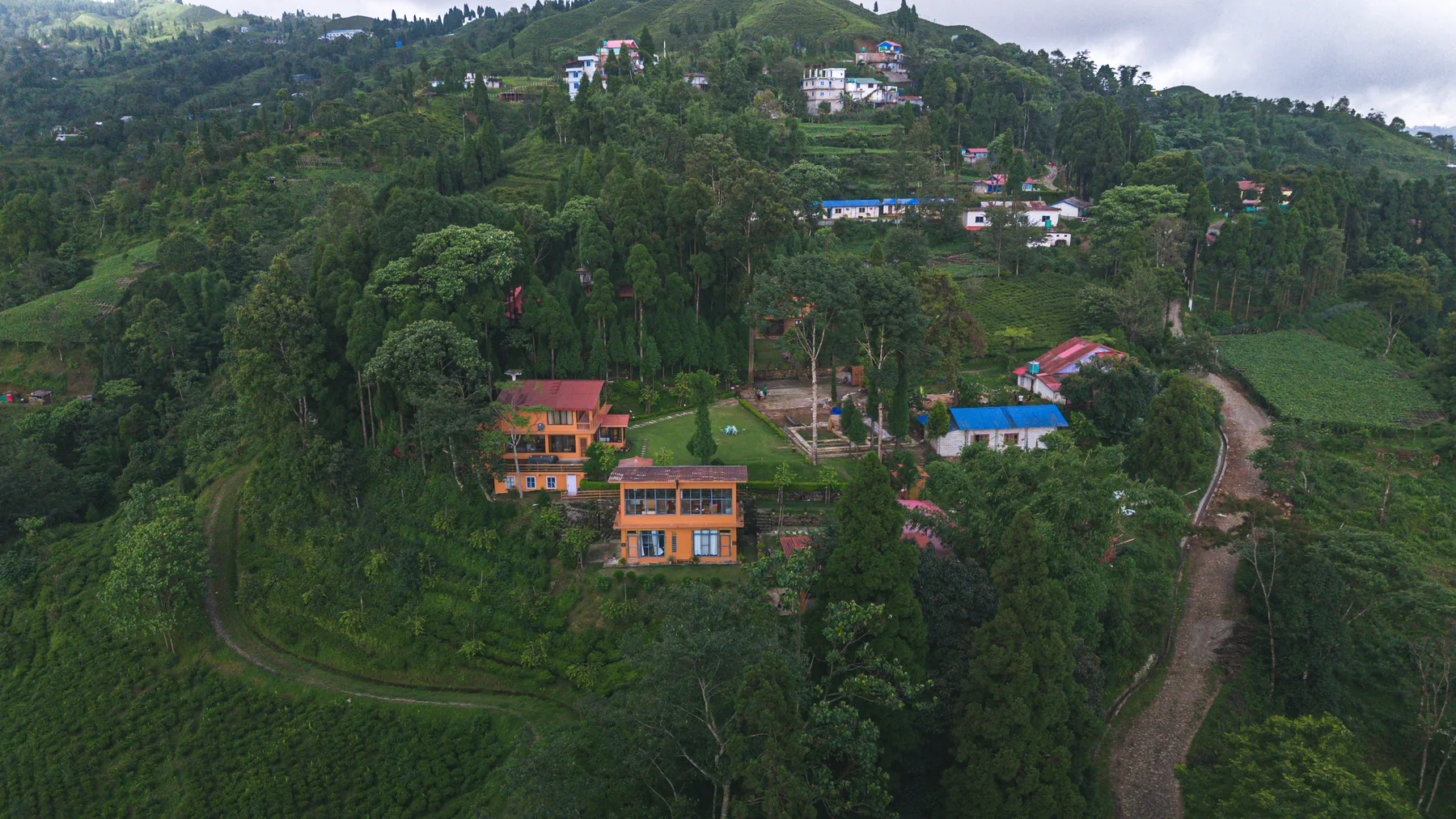 Sunshine Villa on the hillside, with a winding road and tea fields