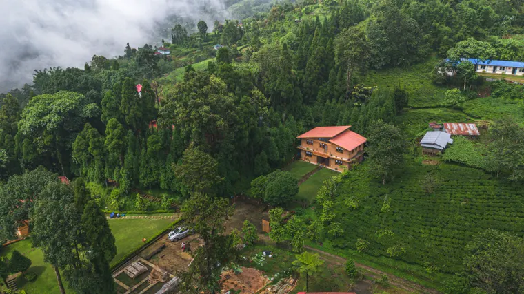 An aerial view of the rammed-earth house and surrounding tea slopes