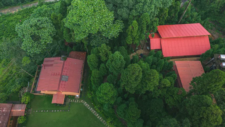 Villa rooftops, gardens and trees seen from above